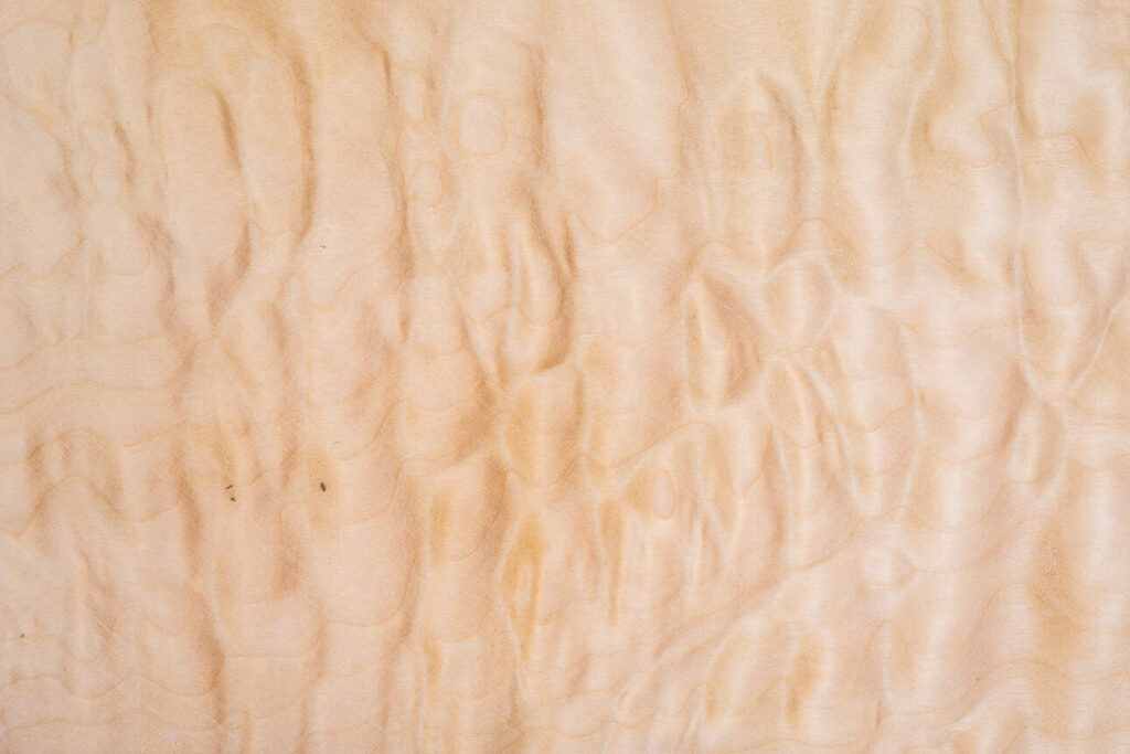 Quilted maple tonewood for electric guitar body and neck.