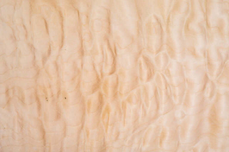 What is the Heaviest Electric Guitar Tonewood? Density is Destiny