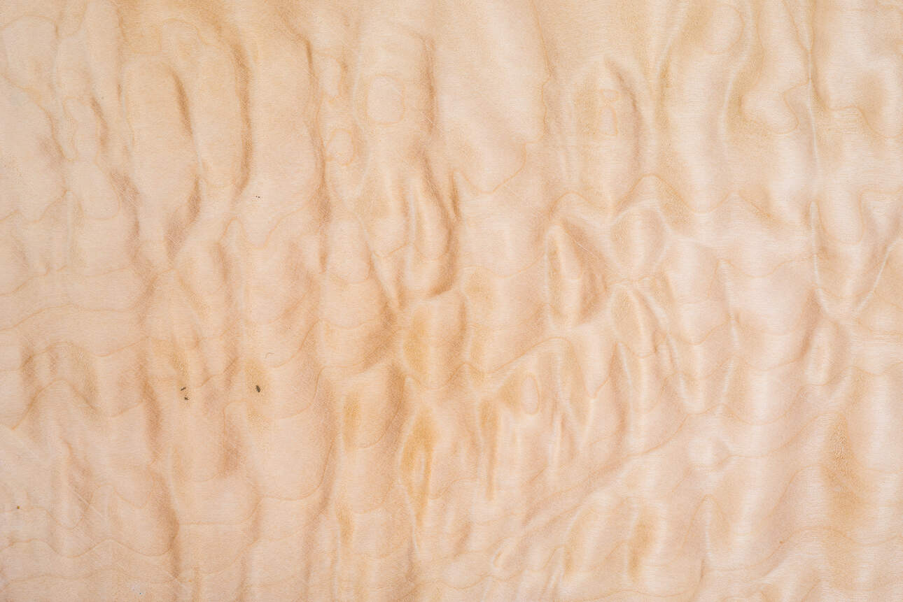 Quilted maple tonewood for electric guitar body and neck.