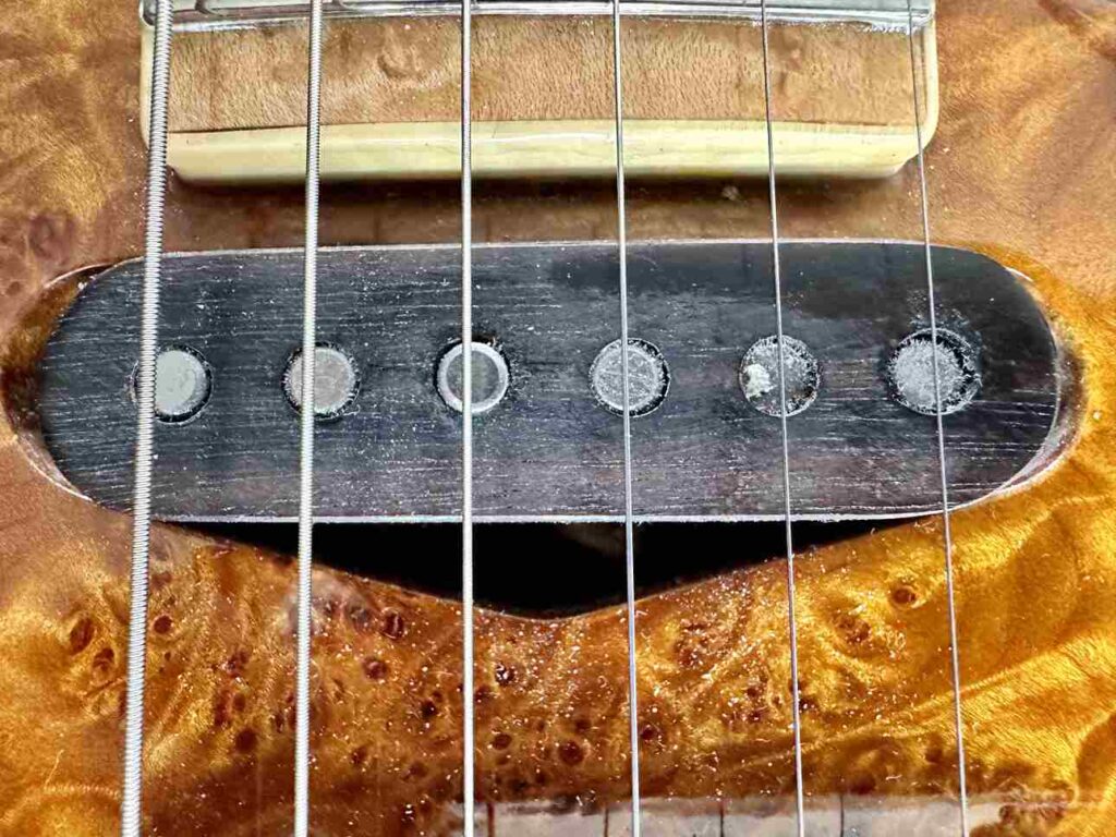 Closeup of a Lindy Fralin single coil pickup on a burl maple top.