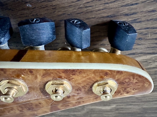 Closeup of Sperzel locking tuners on a custom built electric guitar.
